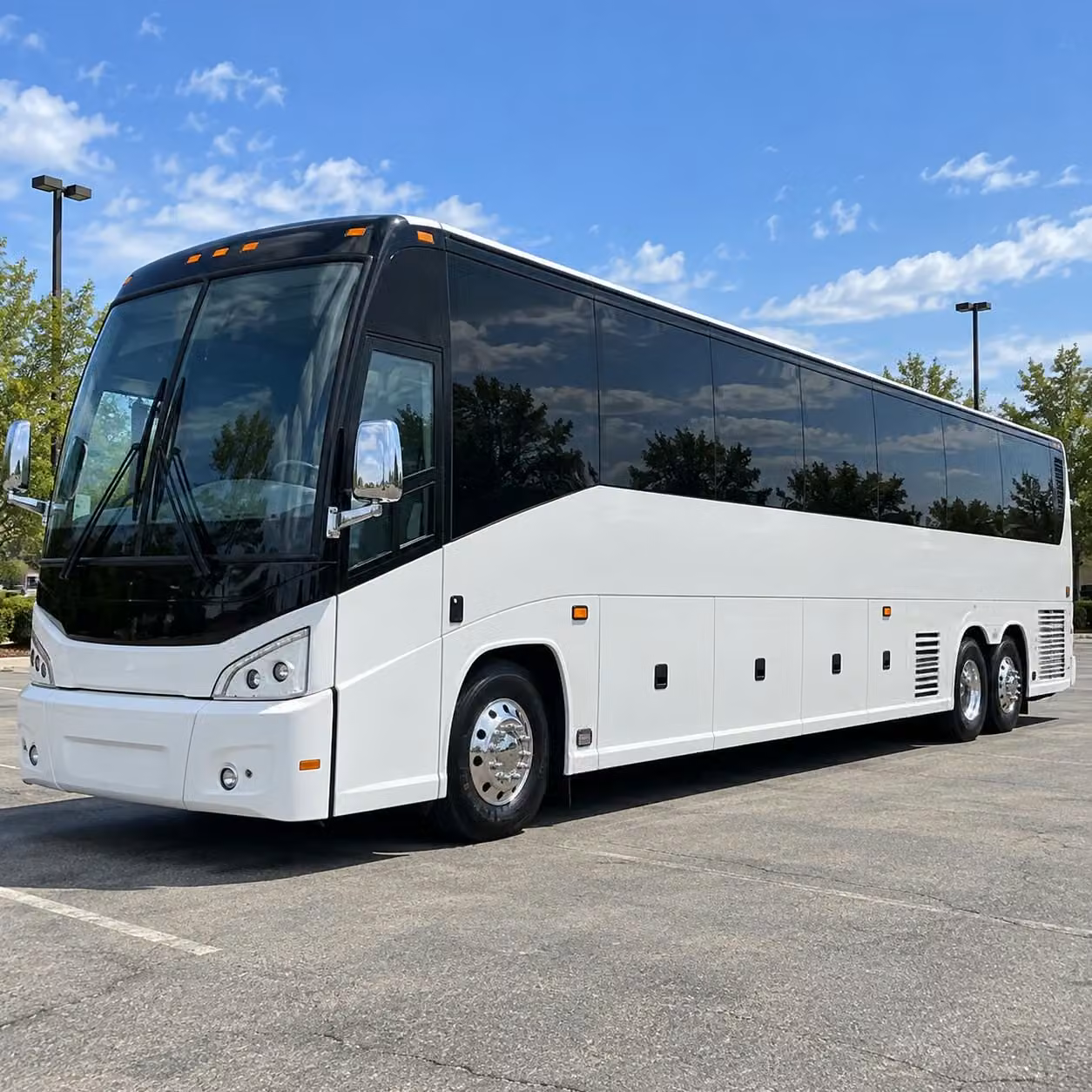 new haven prom transportation that goes where your night takes you