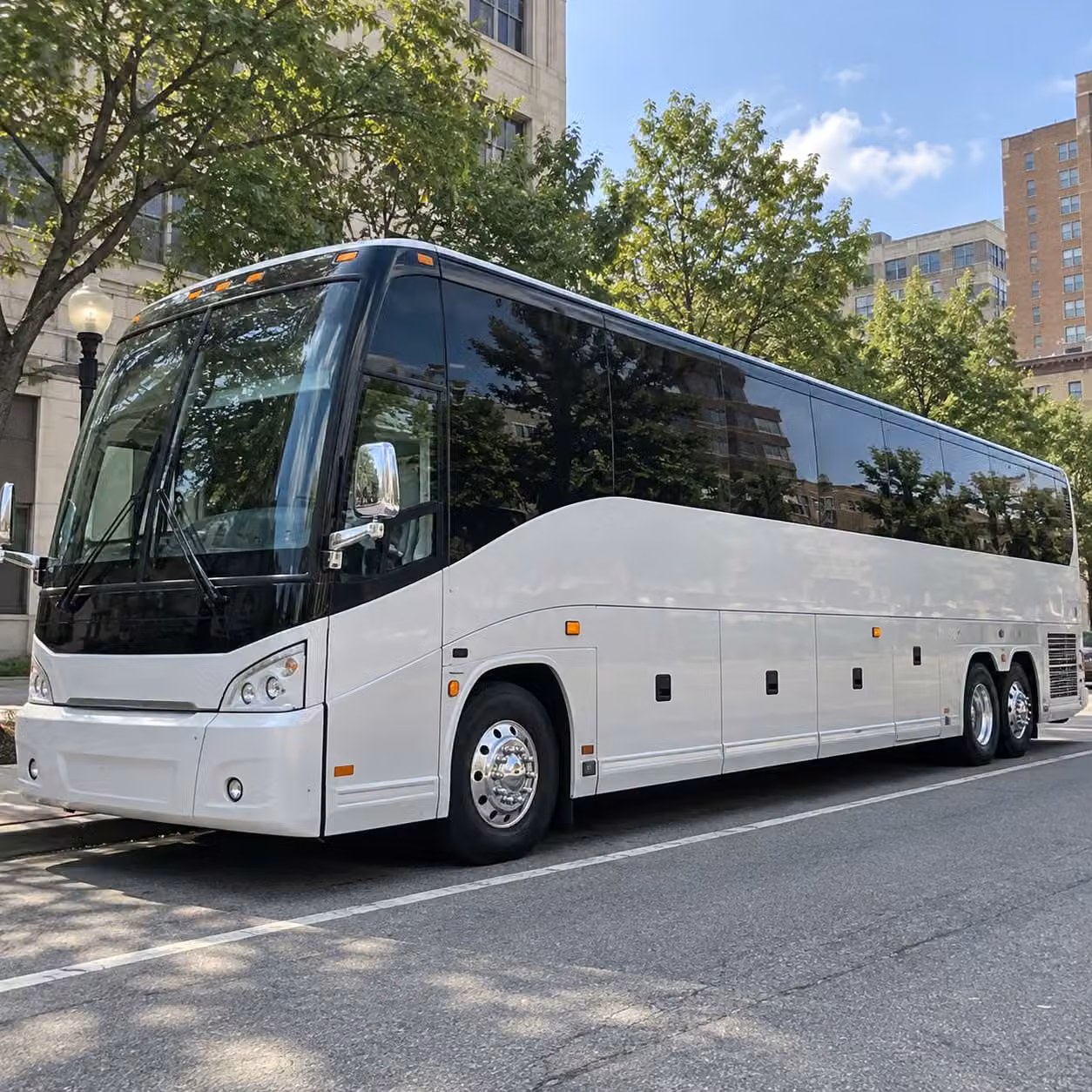 prom transportation in new haven and all the surrounding areas