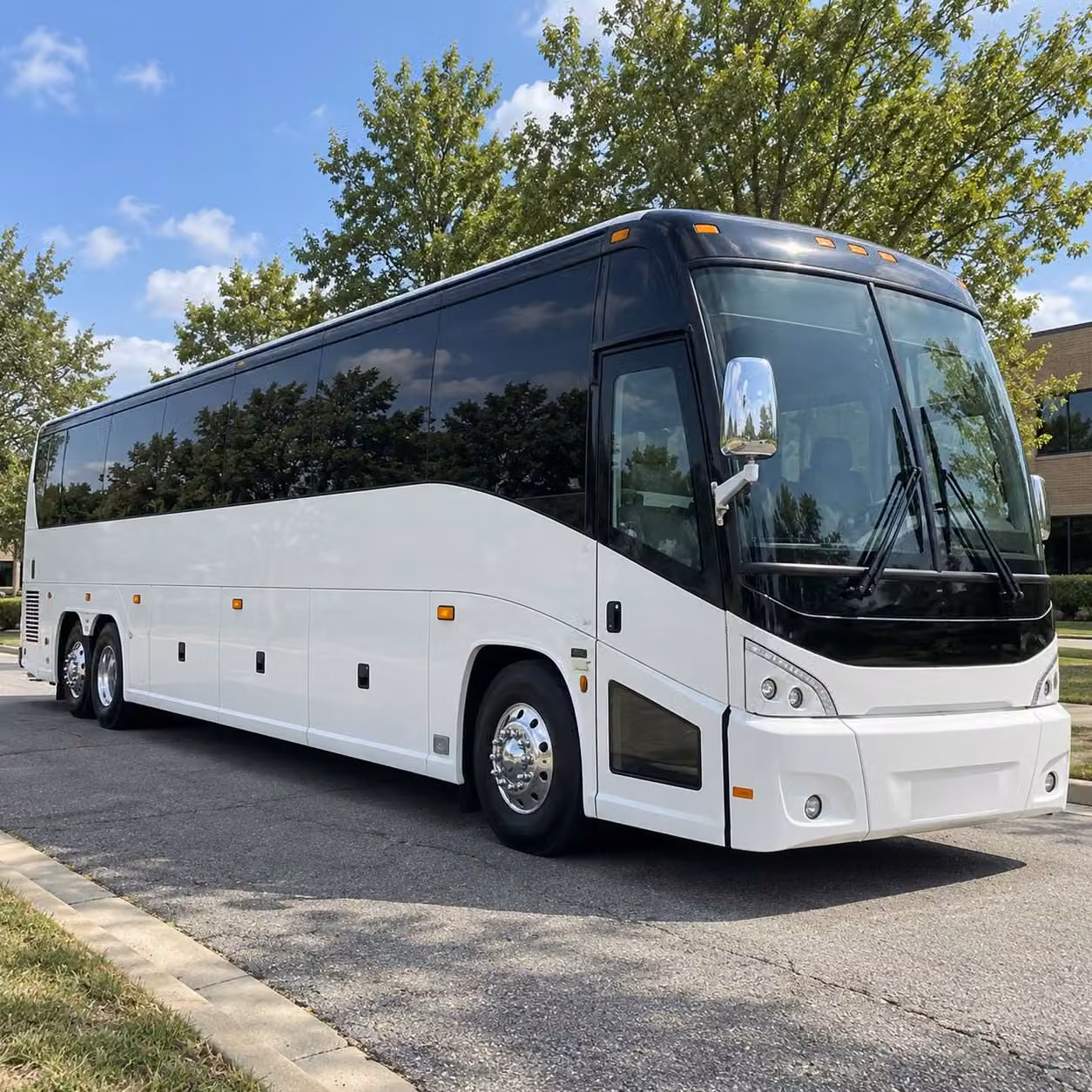 transportation for field trips to the new haven museum lighthouse point park and beyond